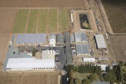 35856_465265844571_4633052_n